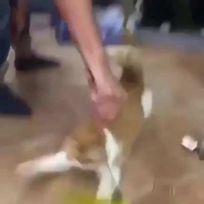 Trying to catch it.
