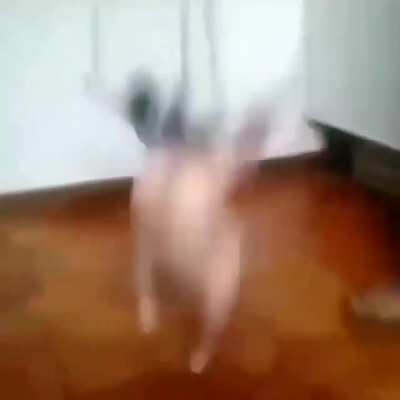 XD