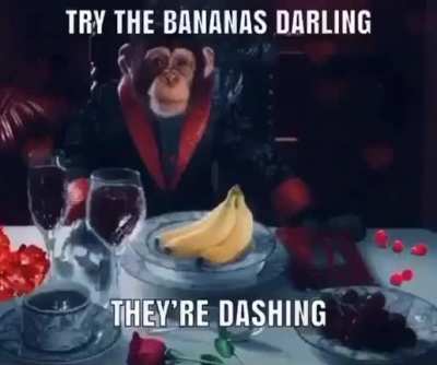 fancy monkey 🥂