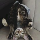 What a little weirdo