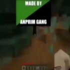 Made by Anprim Gang