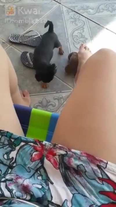 Pagando Calcinha!!