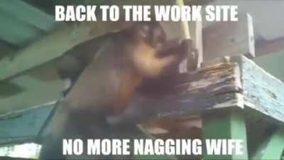 Back to the work site