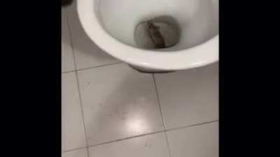 Oh no....