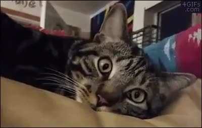 O-O