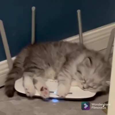 Why the WiFi network slow