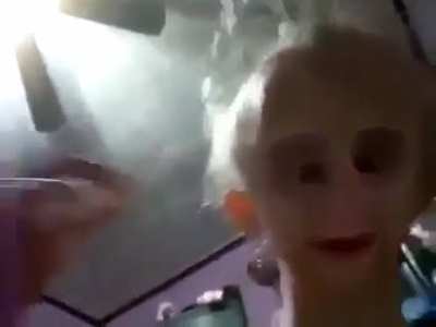Biscuit Nigga