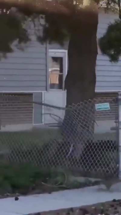 Man jumps from the 3rd floor lands on a fence...