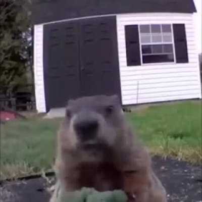 👍