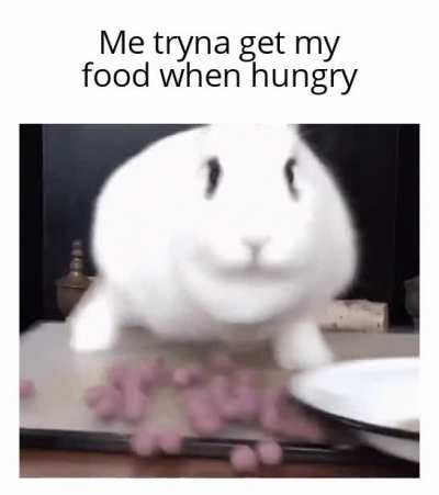 You are not you when hungry..still don't grab a snickers