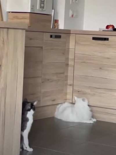 Water is leaking through the cabinet