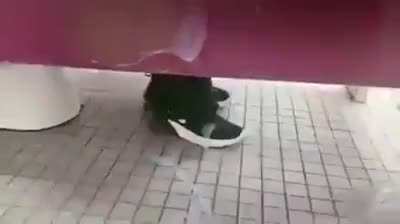 I woulda lost my shit