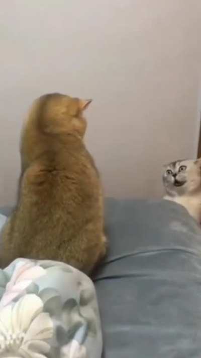 I’m sure it’s possessed