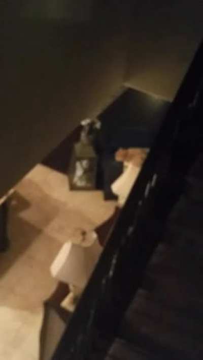 Was filming my cat when...