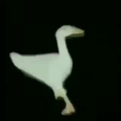 Duck Bop