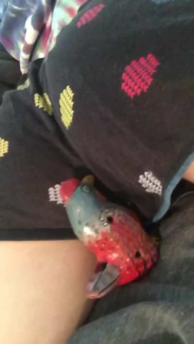 Farting on a cock 😜 get it 