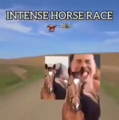 Horse Riding
