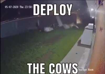 Deploy.