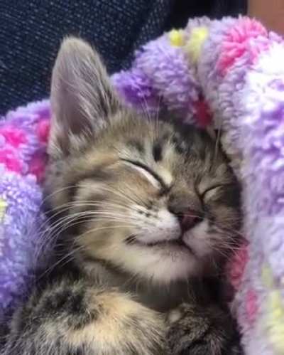 Mlemlemlemlem