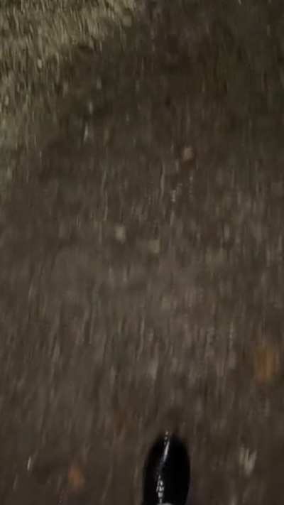 Spooky Ghost