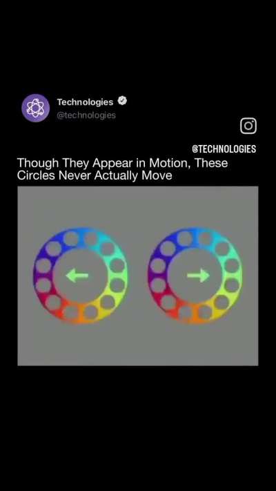 They never move