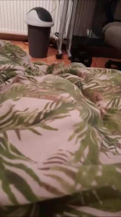 I tried to make one with my cat :)