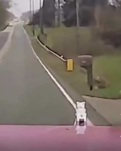 Semi-truck brakes fail behind a school bus.. you can hear the panic and fear in the semi driver’s voice!