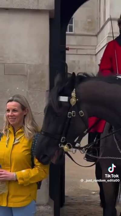 Royal Guard horse knows who he likes
