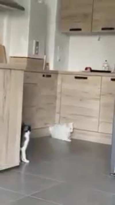 Just, how?