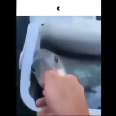 (