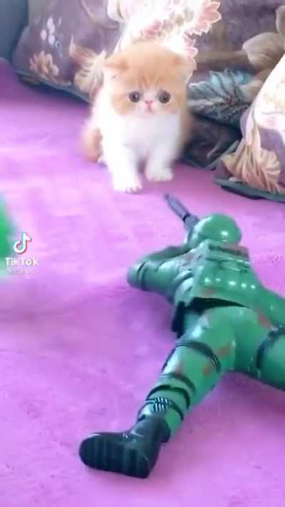 Full hali diğer çöp olmuş