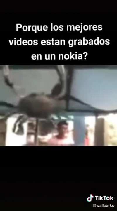 Un buró facebdo pa