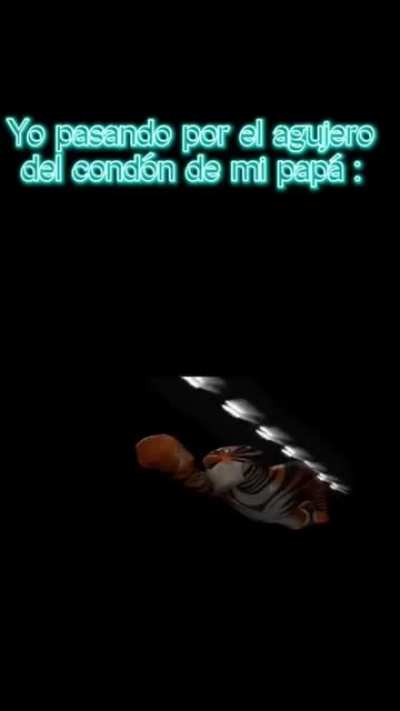 xd
