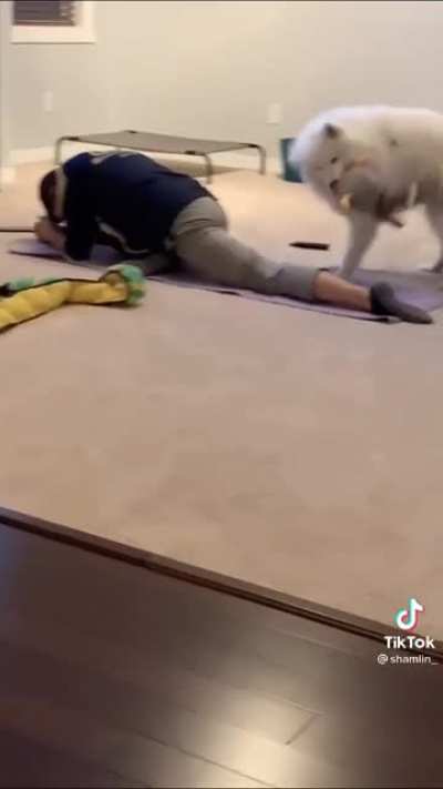 ЙОГА!!!