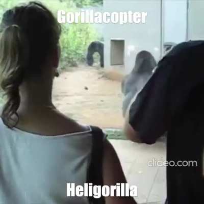 Gorillacopter isn't real, it can't hurt you. Gorillacopter: