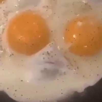 Poor egg...