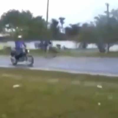 Bonk