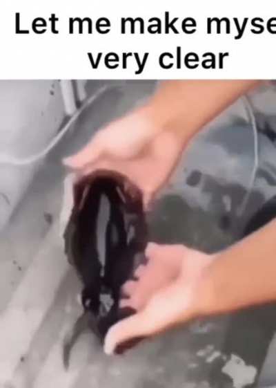 ‍