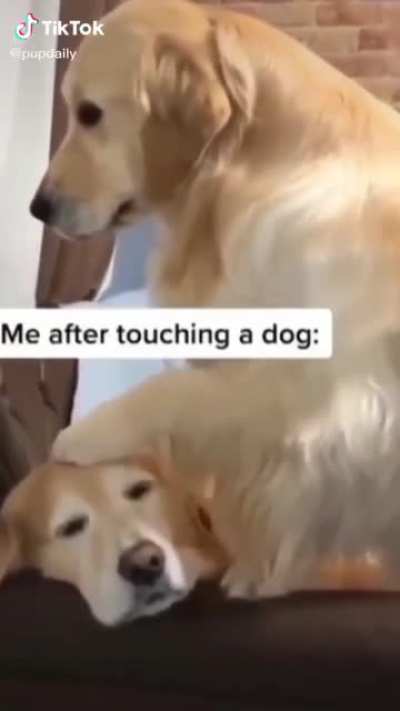 Everytime