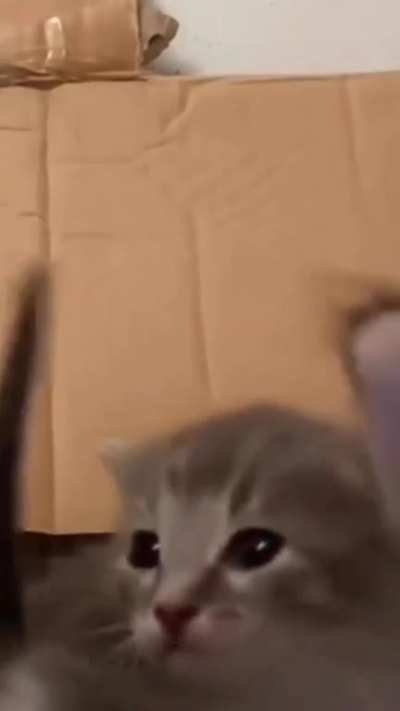 Can you feel my heeeeeeeeeeee