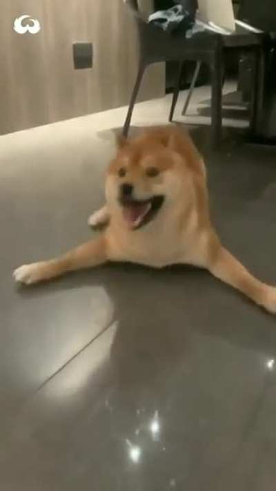 Wiggly Land Shark