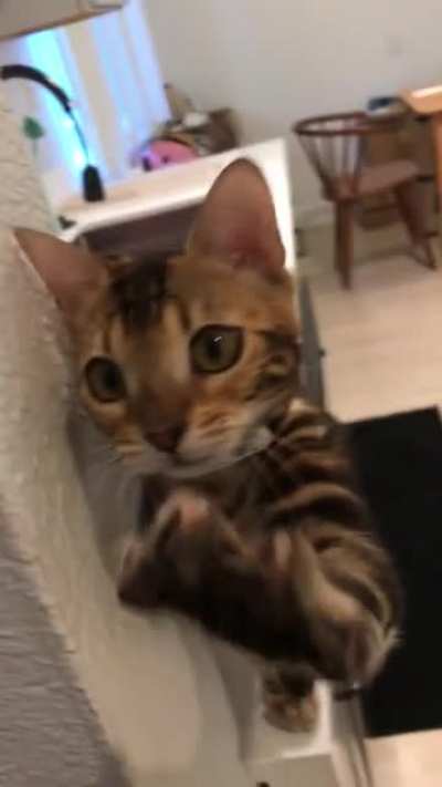 When she greets me at the door I DIE