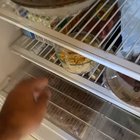 Do birds like pasta?