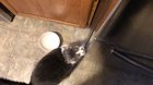 My little man begs for ice very politely
