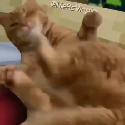 Tadin