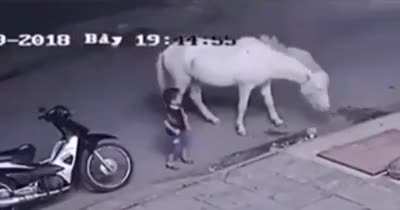 That was a close call!... Let me do it again.