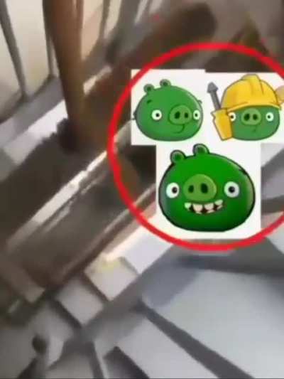 Bad piggies