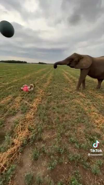 A Big Surprise!