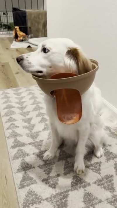 Innocent until proven guilty