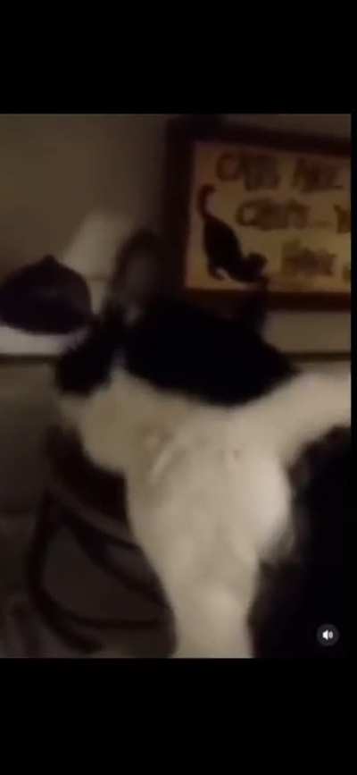 Ele está tentando falar algo 